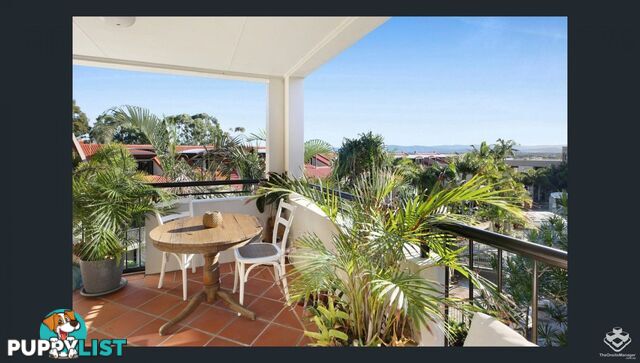 ID:21157923 1 Great Hall Drive Miami QLD 4220