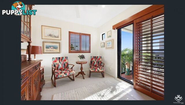 ID:21157923 1 Great Hall Drive Miami QLD 4220