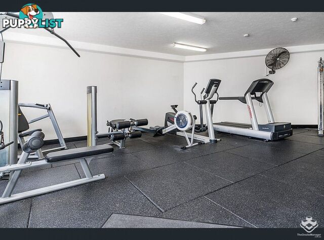 ID:21157923 1 Great Hall Drive Miami QLD 4220