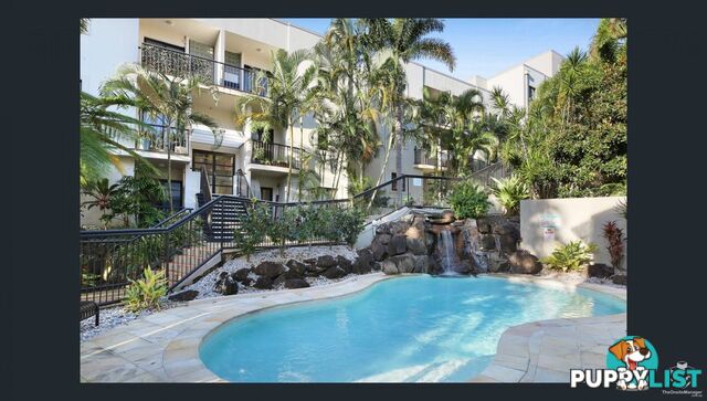 ID:21157923 1 Great Hall Drive Miami QLD 4220