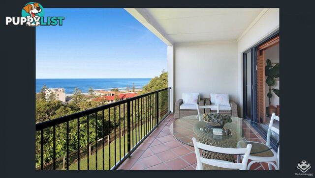 ID:21157923 1 Great Hall Drive Miami QLD 4220