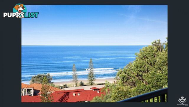 ID:21157923 1 Great Hall Drive Miami QLD 4220