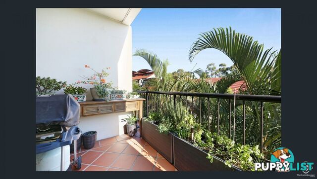 ID:21157923 1 Great Hall Drive Miami QLD 4220
