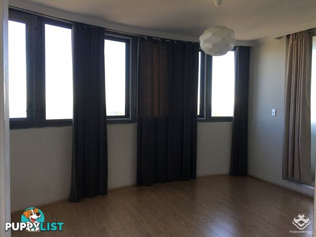 ID:21157977 14 Brown Street Chatswood NSW 2067