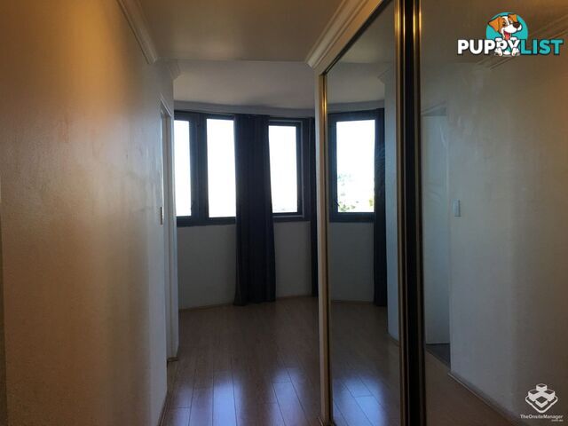 ID:21157977 14 Brown Street Chatswood NSW 2067