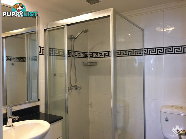 ID:21157977 14 Brown Street Chatswood NSW 2067