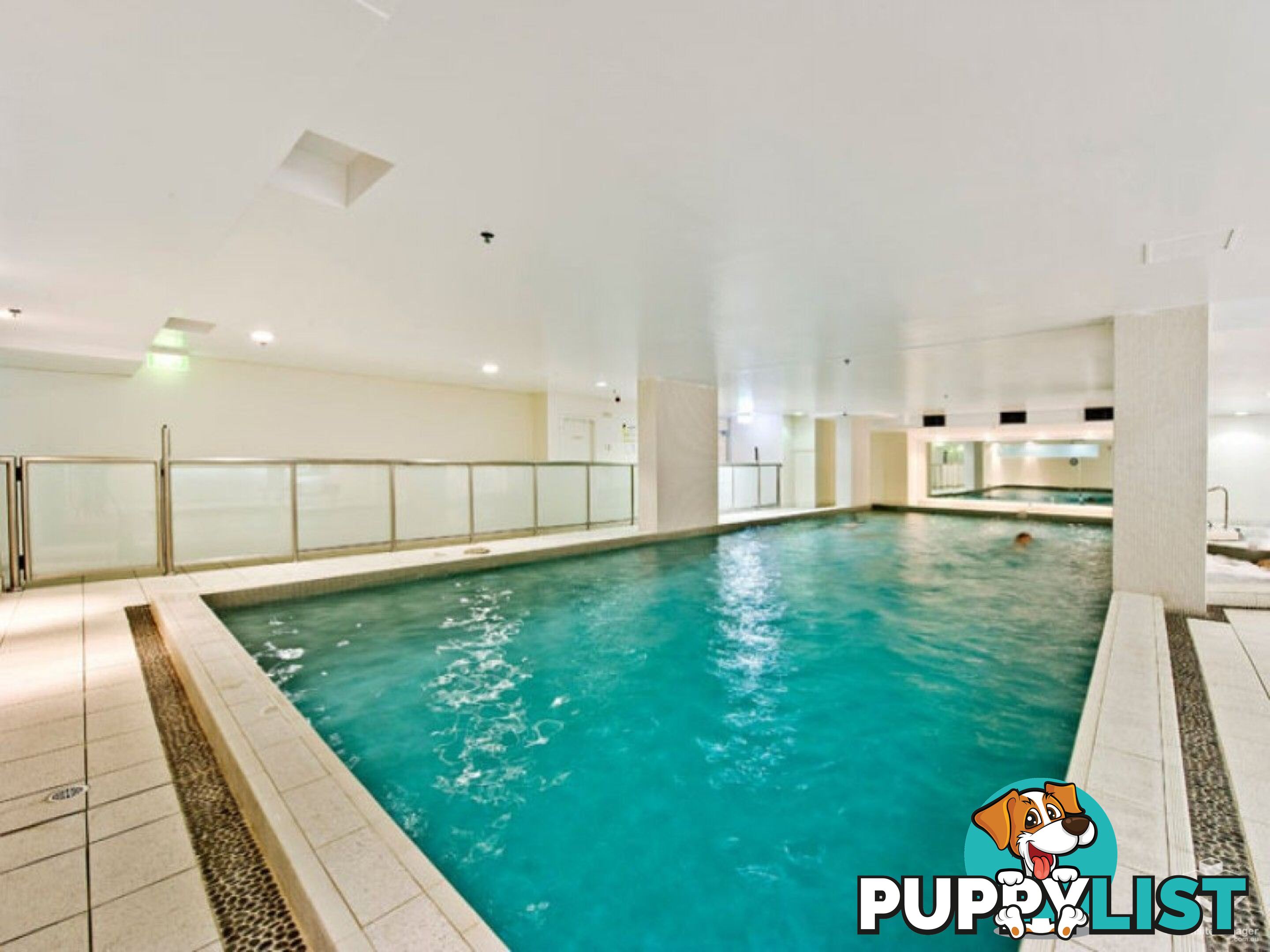ID:21157977 14 Brown Street Chatswood NSW 2067