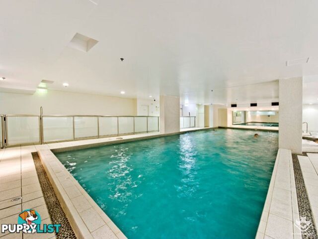 ID:21157977 14 Brown Street Chatswood NSW 2067