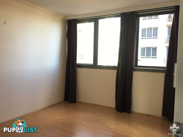 ID:21157977 14 Brown Street Chatswood NSW 2067