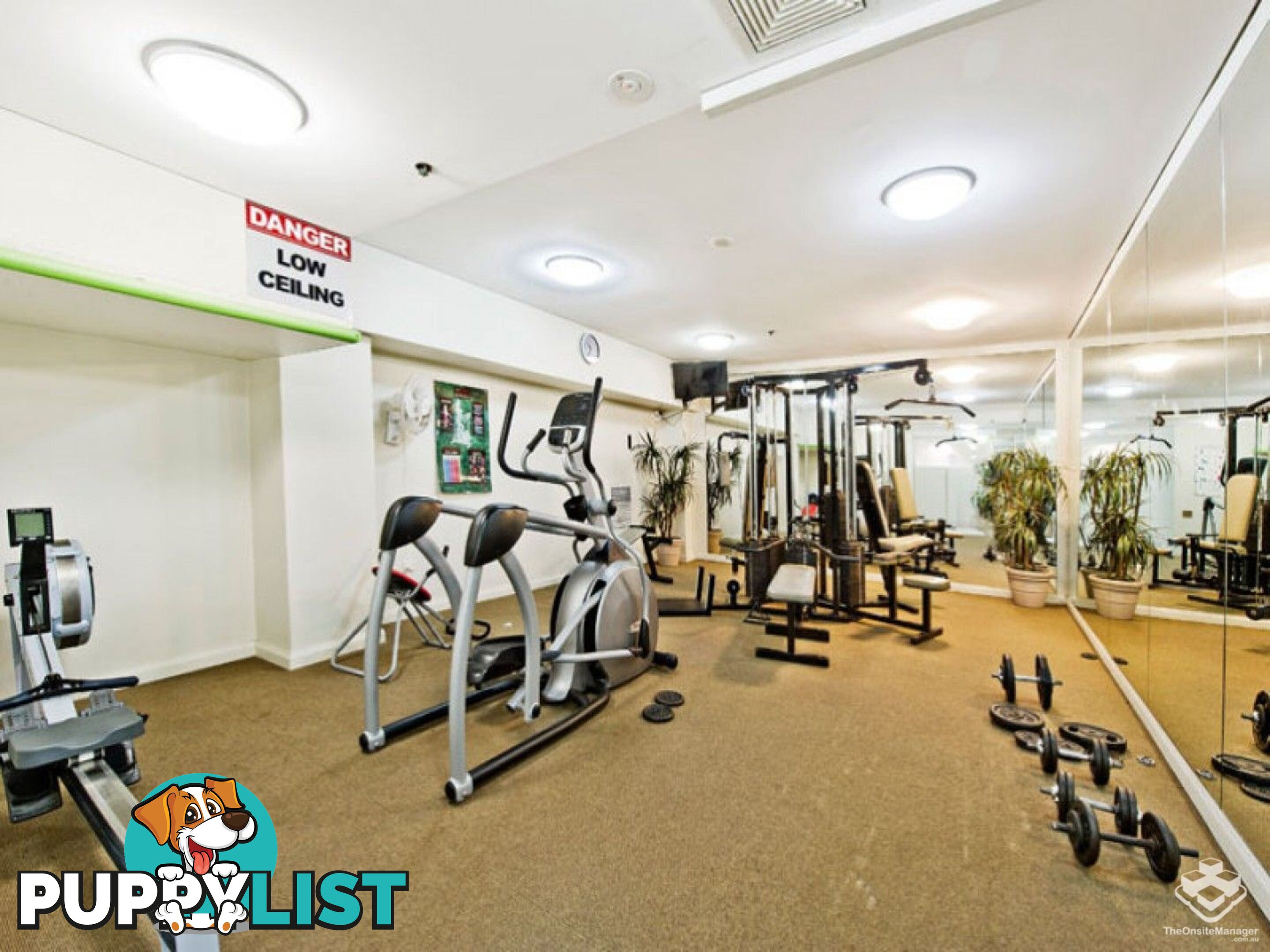 ID:21157977 14 Brown Street Chatswood NSW 2067