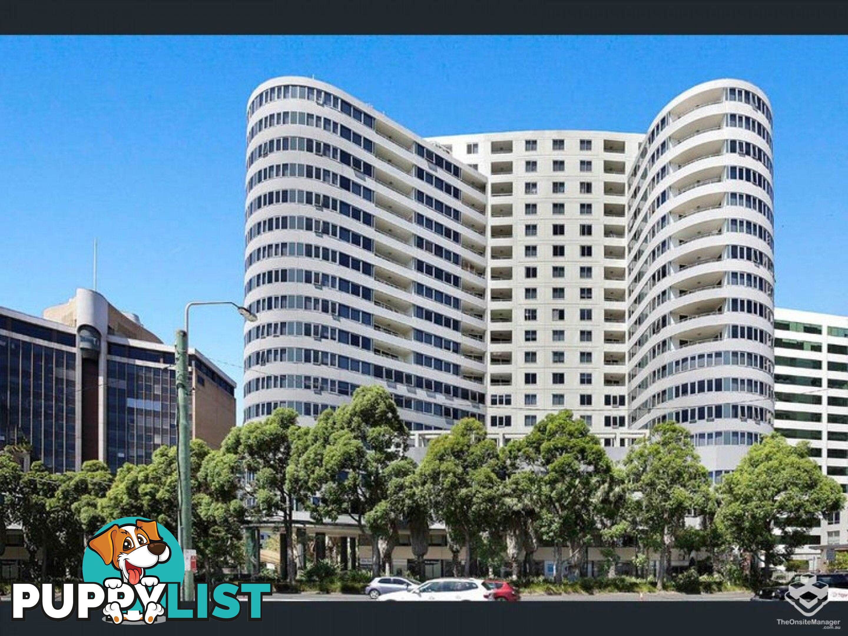 ID:21157977 14 Brown Street Chatswood NSW 2067