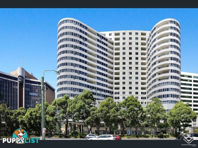 ID:21157977 14 Brown Street Chatswood NSW 2067