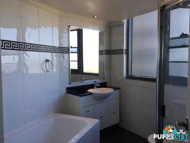 ID:21157977 14 Brown Street Chatswood NSW 2067