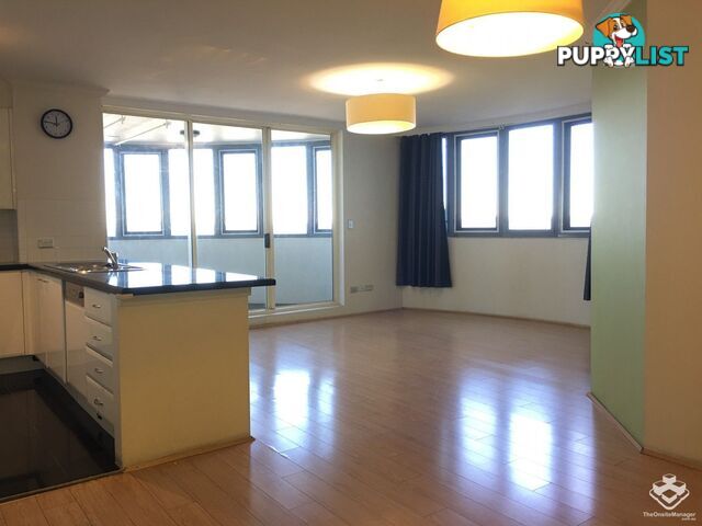 ID:21157977 14 Brown Street Chatswood NSW 2067