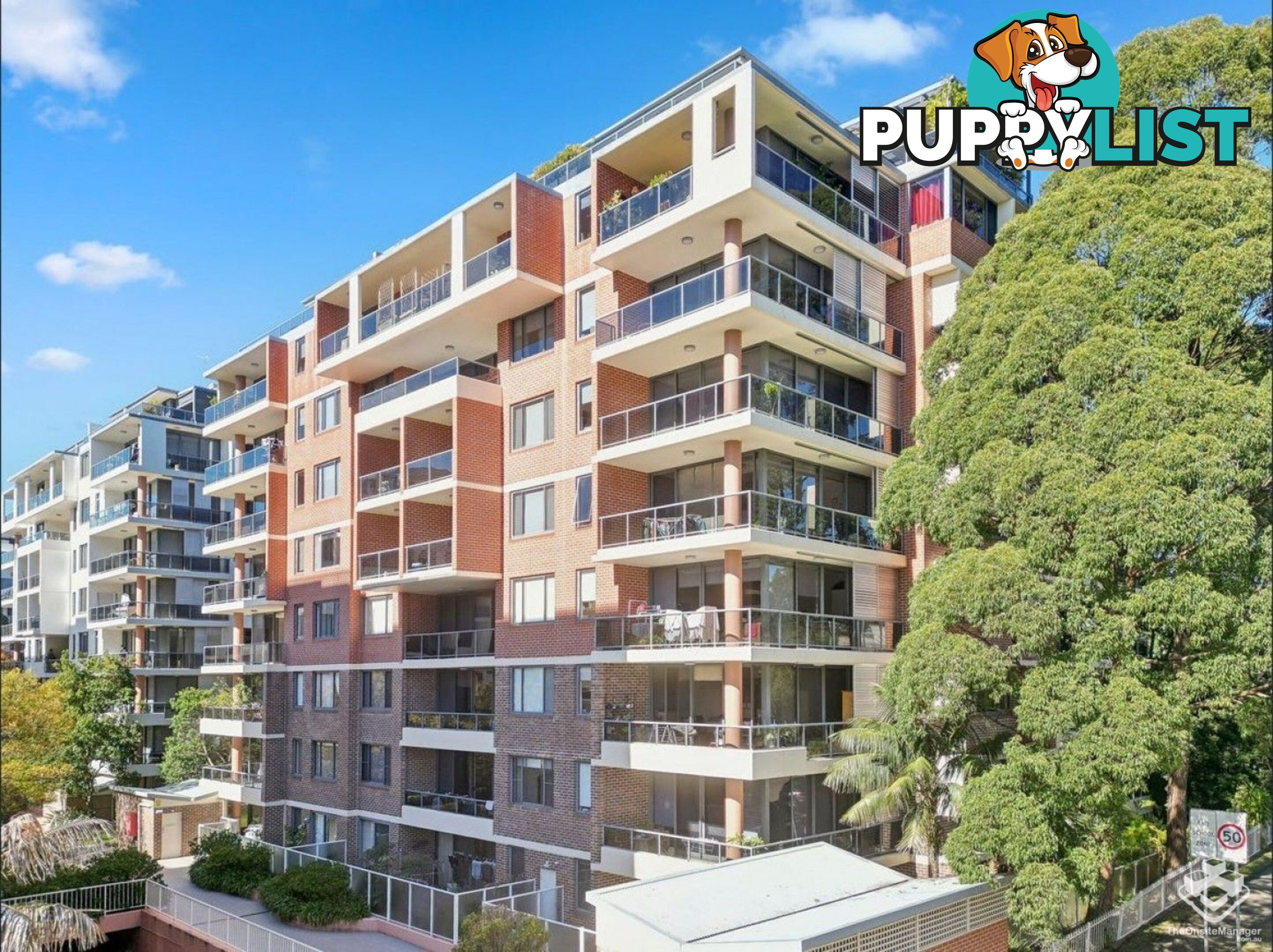 253/27-31 Leonard St Waitara NSW 2077