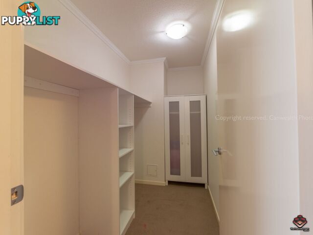 95 Clarence Road Indooroopilly QLD 4068