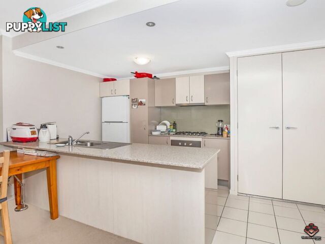 95 Clarence Road Indooroopilly QLD 4068