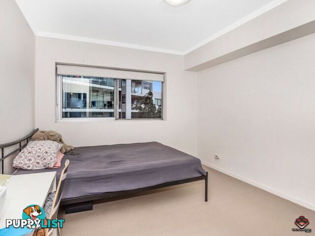 95 Clarence Road Indooroopilly QLD 4068