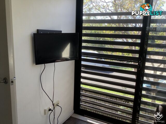 1A/8 Hinley Avenue Maroochydore QLD 4558