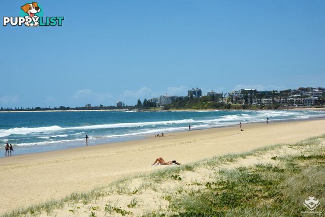 34/4 Aerodrome Road Maroochydore QLD 4558