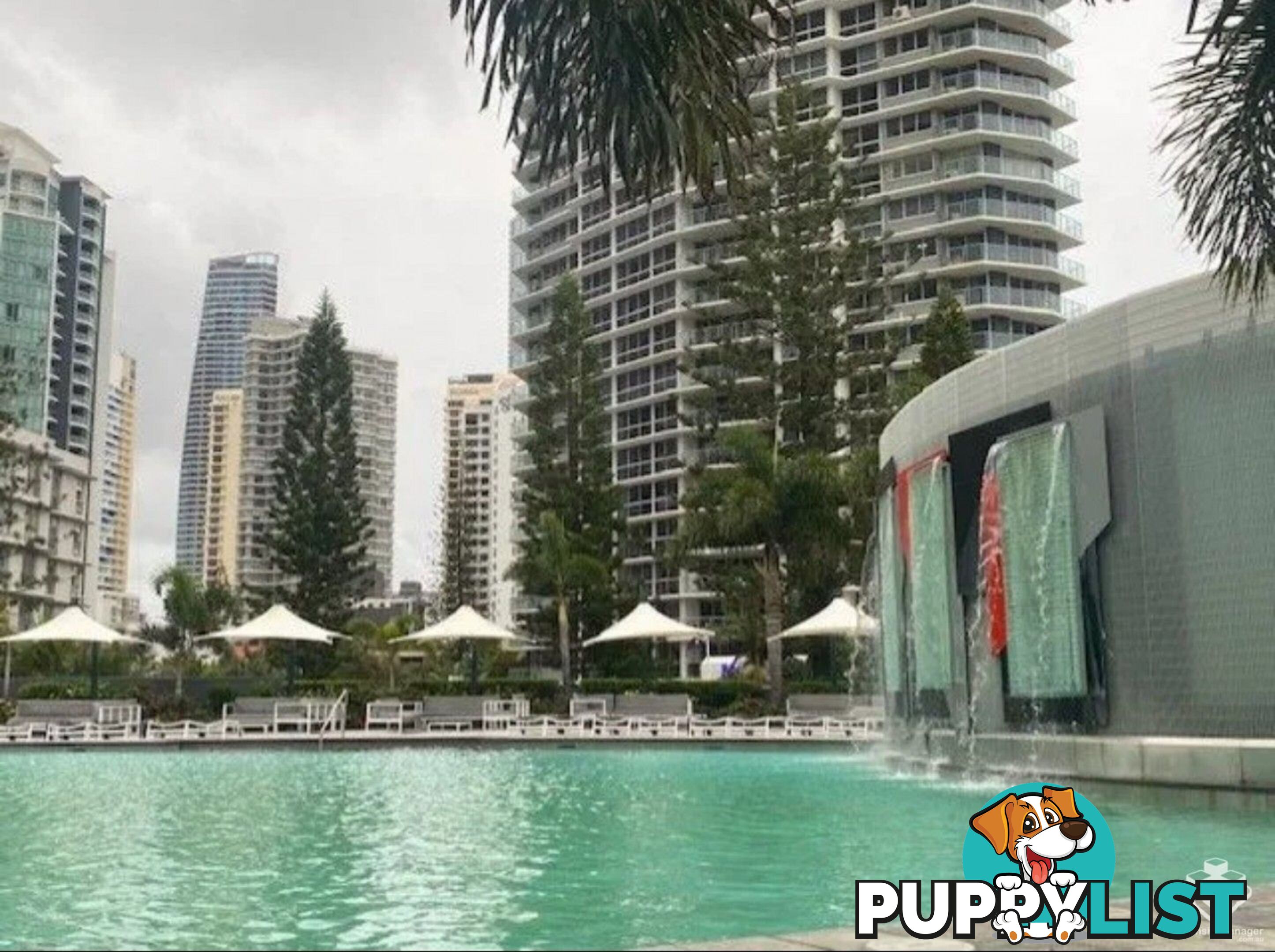 4005/9 Hamilton Avenue Surfers Paradise QLD 4217