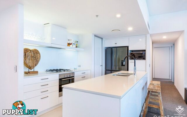 4005/9 Hamilton Avenue Surfers Paradise QLD 4217