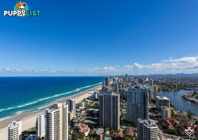 4005/9 Hamilton Avenue Surfers Paradise QLD 4217