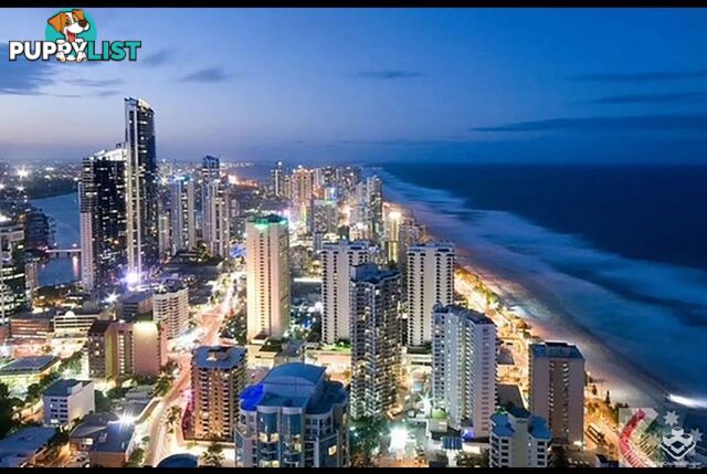 4005/9 Hamilton Avenue Surfers Paradise QLD 4217
