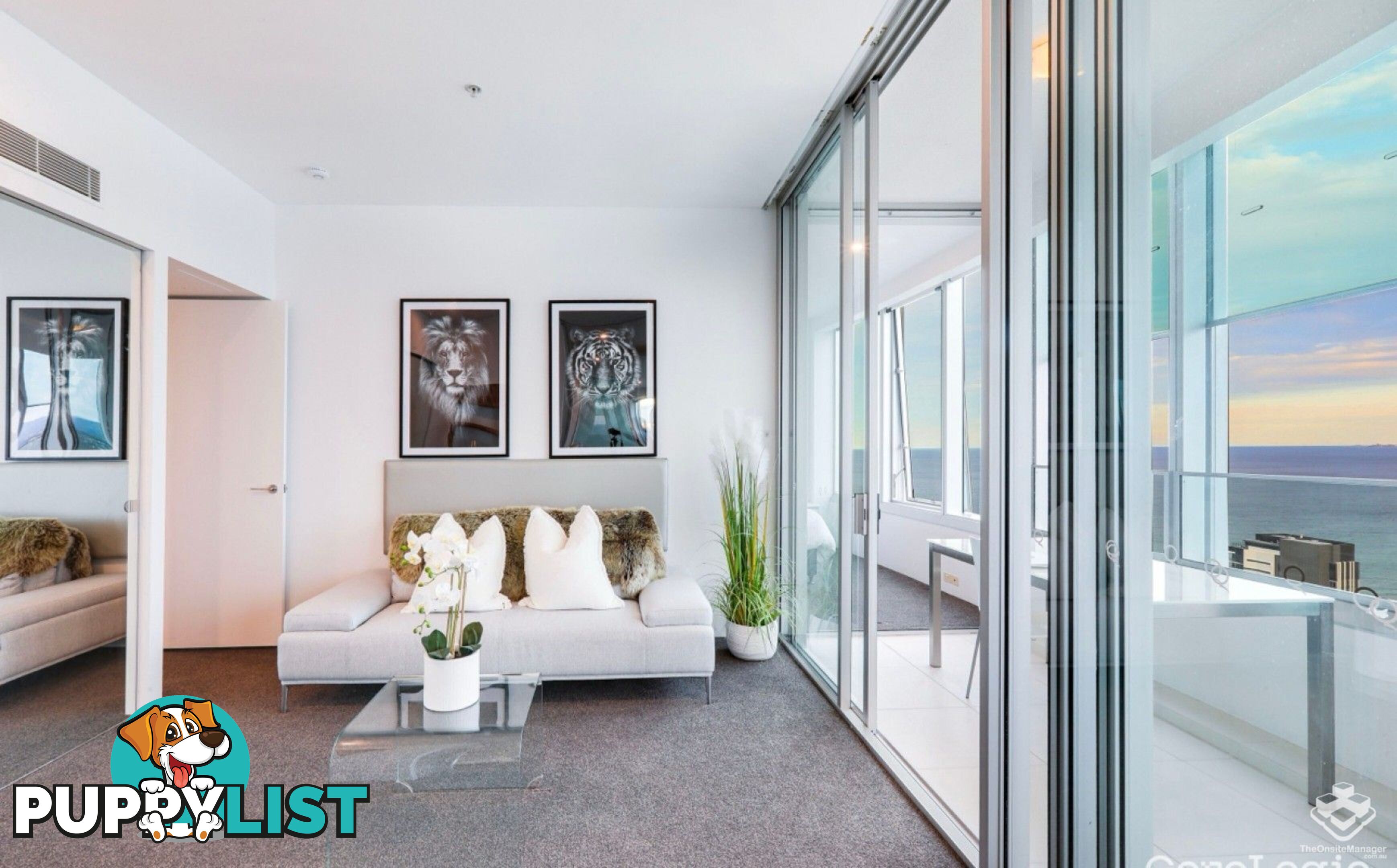 4005/9 Hamilton Avenue Surfers Paradise QLD 4217