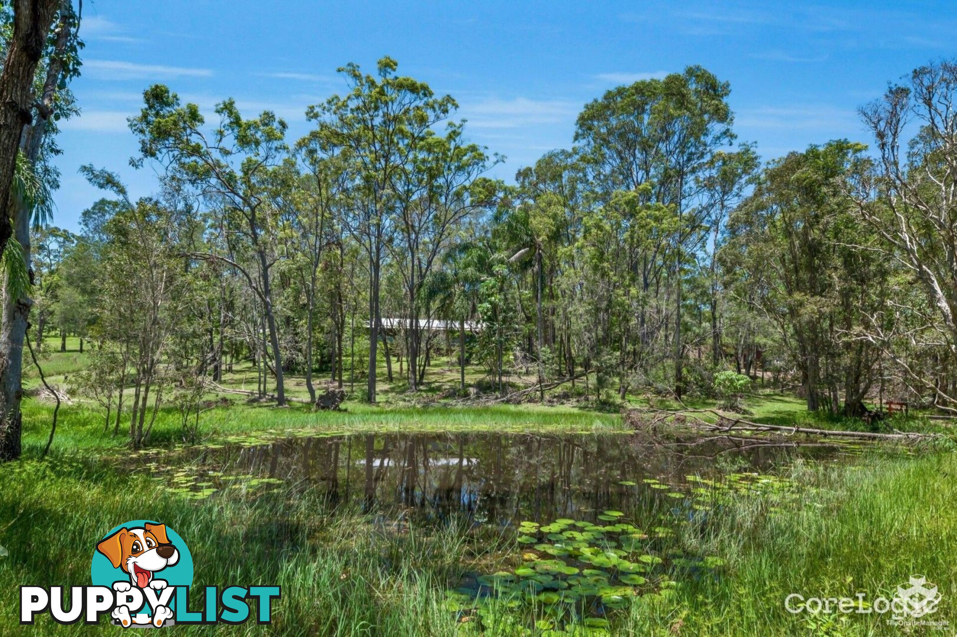209 Rosemount Drive Willow Vale QLD 4209