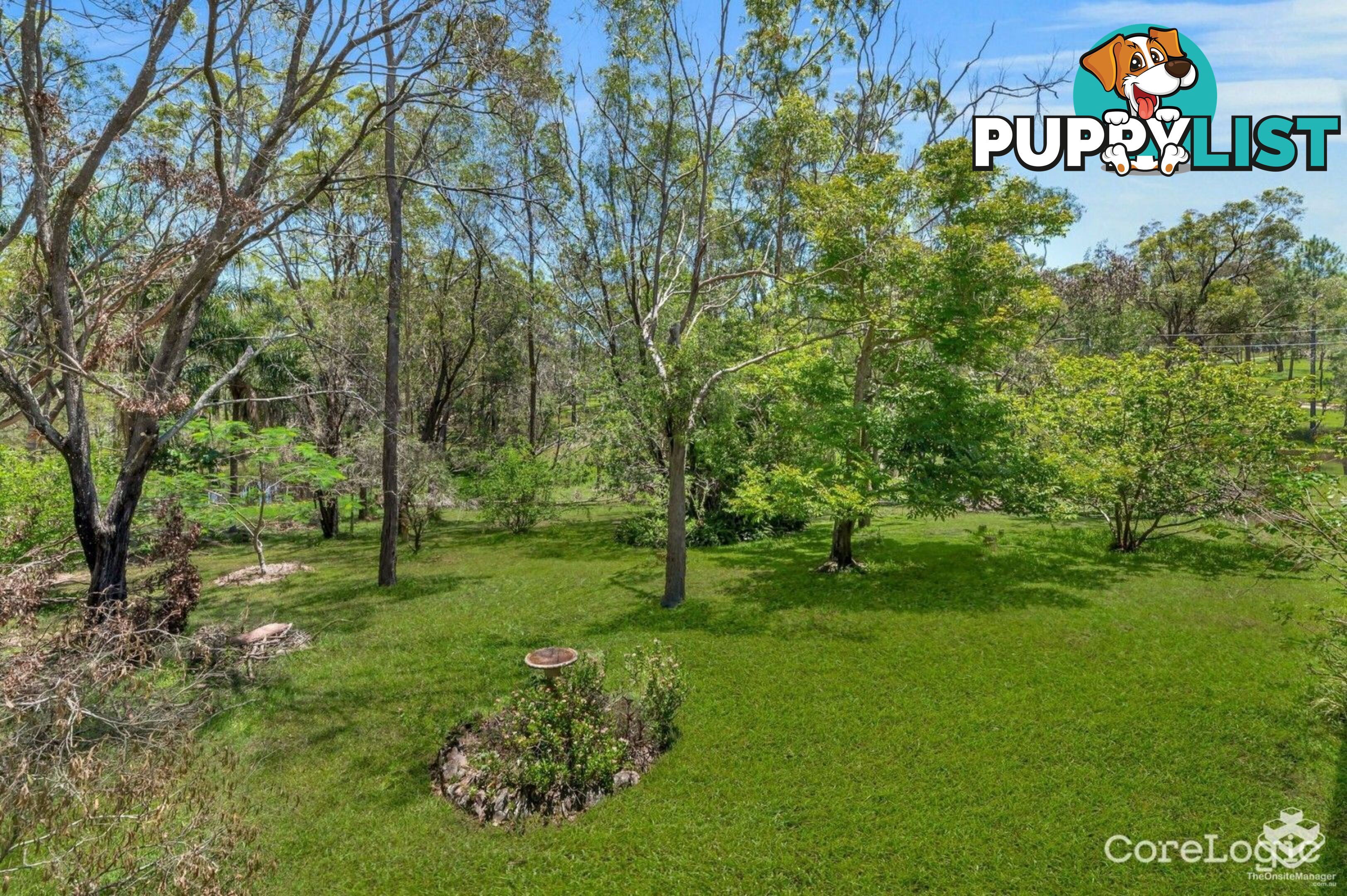 209 Rosemount Drive Willow Vale QLD 4209
