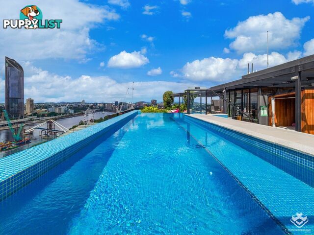 ID:21150540 77 Grey Street South Brisbane QLD 4101