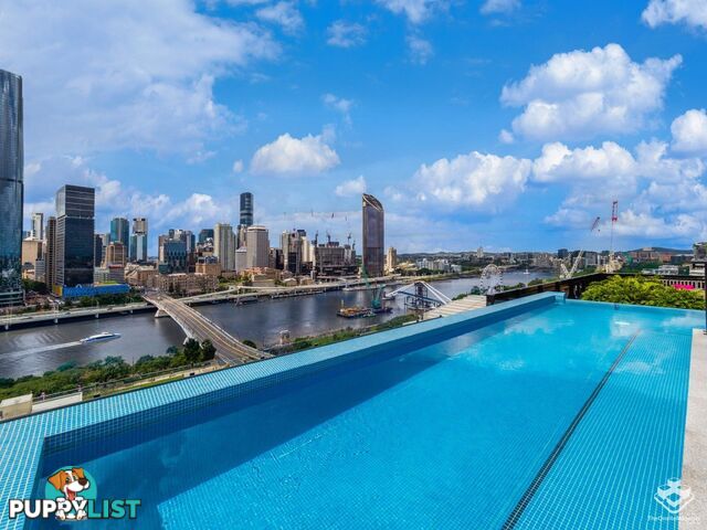 ID:21150540 77 Grey Street South Brisbane QLD 4101
