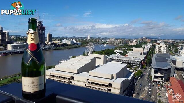 ID:21150540 77 Grey Street South Brisbane QLD 4101
