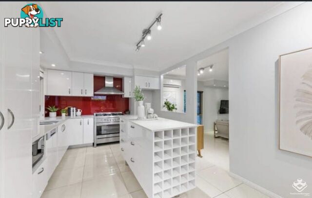2 Rambler Street Bardon QLD 4065