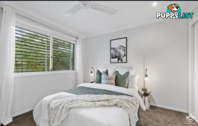 2 Rambler Street Bardon QLD 4065
