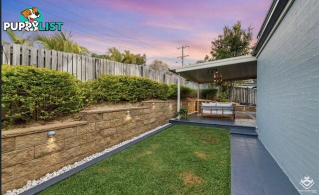 2 Rambler Street Bardon QLD 4065
