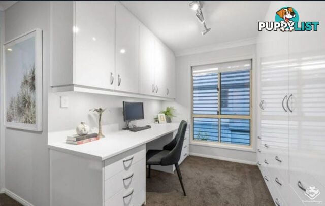 2 Rambler Street Bardon QLD 4065