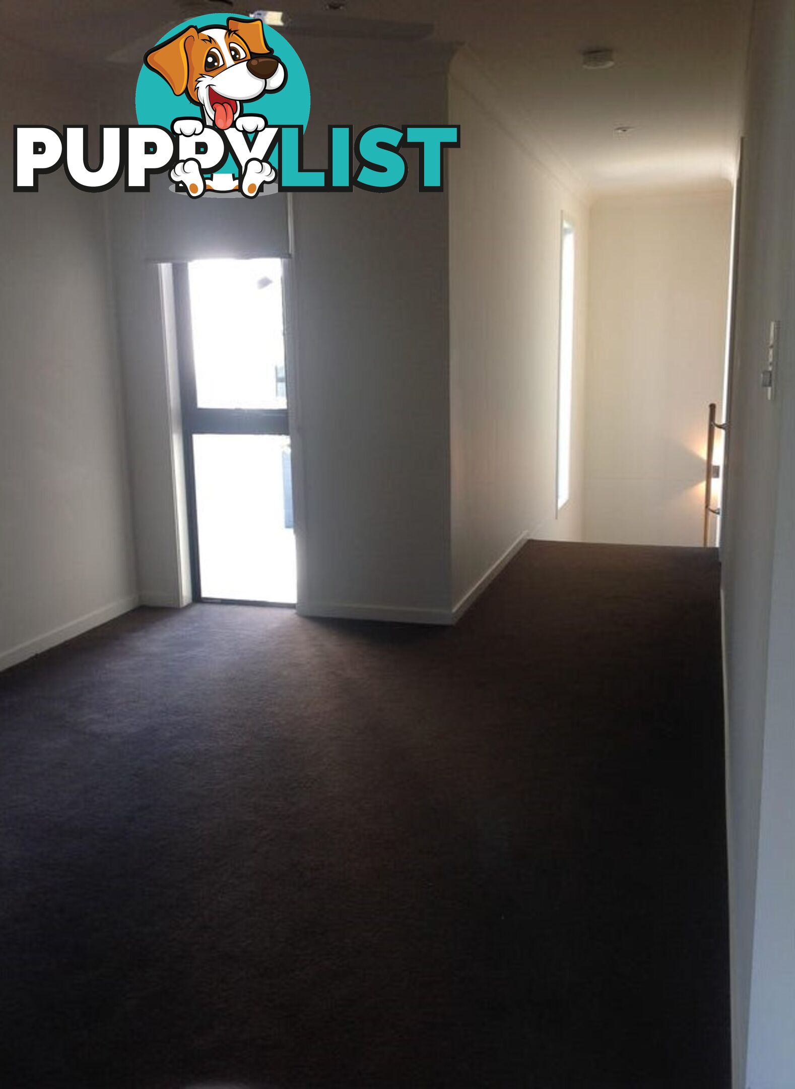 ID:21157501 49 Easthill Drive Robina QLD 4226
