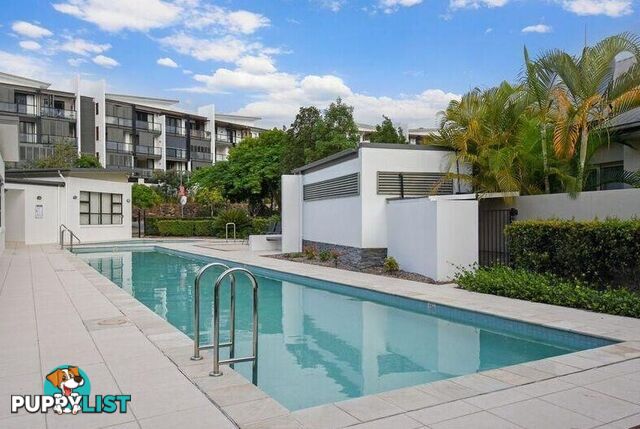ID:21157501 49 Easthill Drive Robina QLD 4226