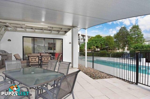 ID:21157501 49 Easthill Drive Robina QLD 4226