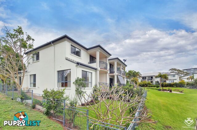 ID:21156661 85 Palm Meadows Drive Carrara QLD 4211
