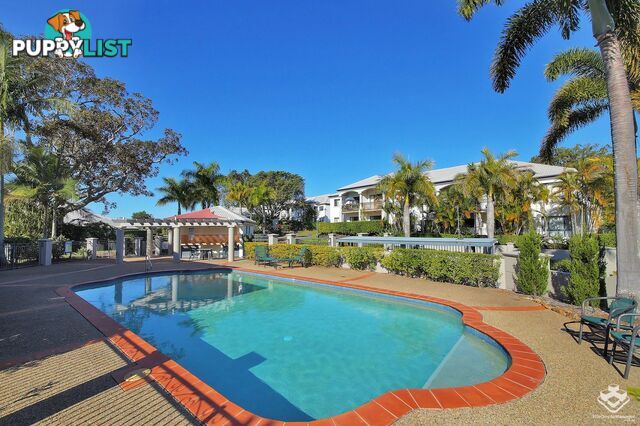 ID:21156661 85 Palm Meadows Drive Carrara QLD 4211