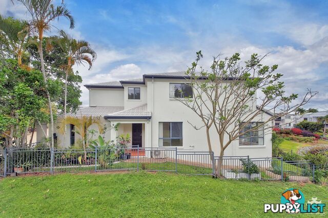 ID:21156661 85 Palm Meadows Drive Carrara QLD 4211