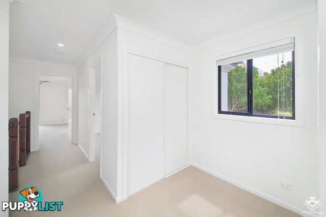 ID:21156661 85 Palm Meadows Drive Carrara QLD 4211