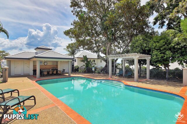 ID:21156661 85 Palm Meadows Drive Carrara QLD 4211