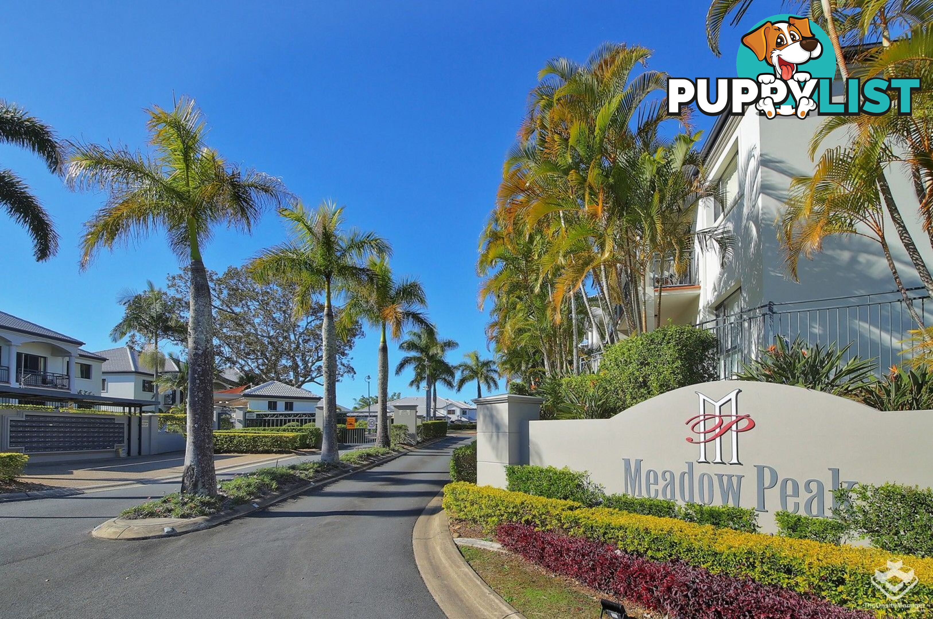 ID:21156661 85 Palm Meadows Drive Carrara QLD 4211