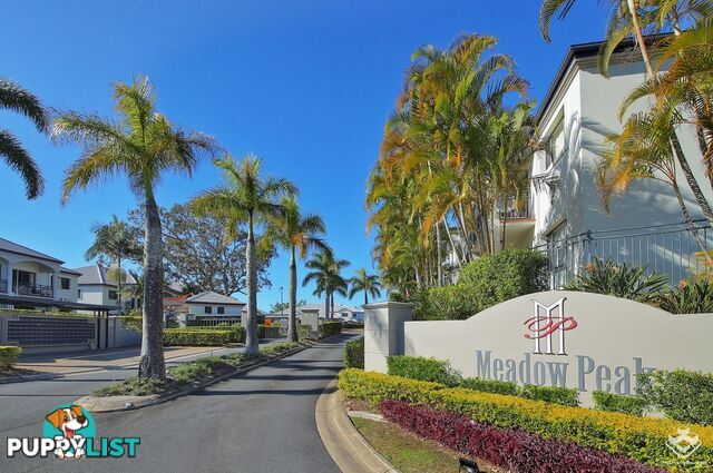 ID:21156661 85 Palm Meadows Drive Carrara QLD 4211
