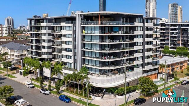 ID:21135248/266 Stanhill Drive Surfers Paradise QLD 4217