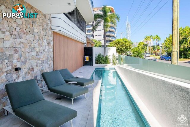 ID:21135248/266 Stanhill Drive Surfers Paradise QLD 4217